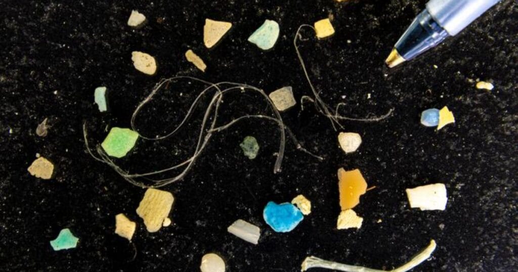 This image shows a collection of plastic microparticles, raning in size from a few millimeters to those measured in micrometers or nanometers. (Image credit: Byeunggon Kim, Haeleen Hong and Orlin Velev, NC State University)