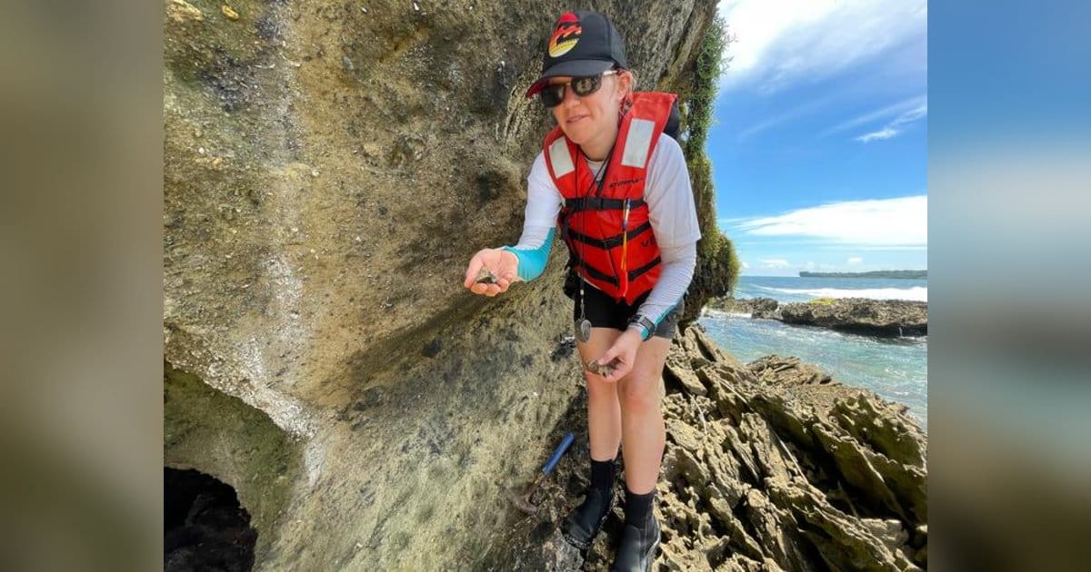 Paleobiologist Erin Dillon collecting fossils on a rock outcrop in Bocas del Toro, Panama, containing fossils revealing the history of the Caribbean in that region. (Image credit: Jorge Alemán)