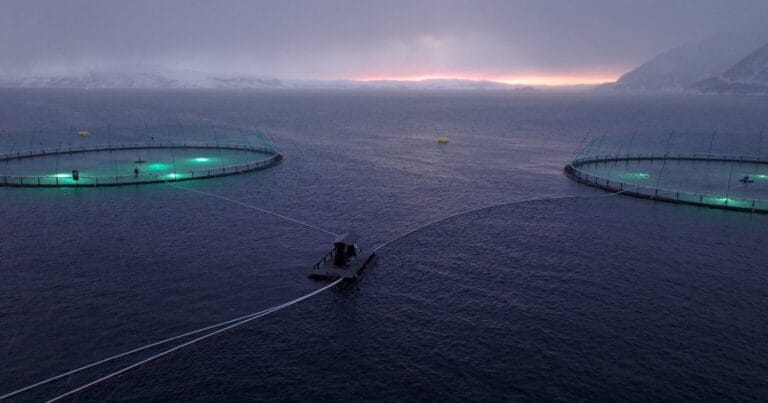 (Image credit: Ocean Tales)