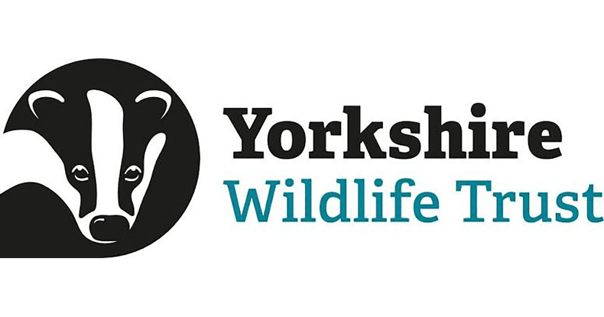 ywt logo