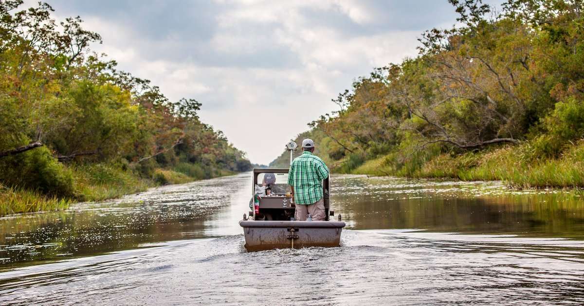 Louisiana's river-dominated coast has the highest wetland loss rate in the country; a new project seeks to discover how wetland resilience in the Pelican State compares with Rhode Island. (Image credit: Louisiana State University)