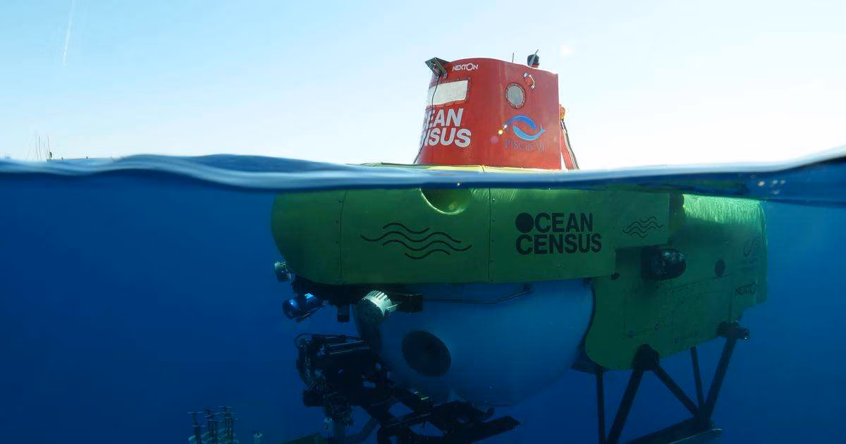 (Image credit: Ocean Census)