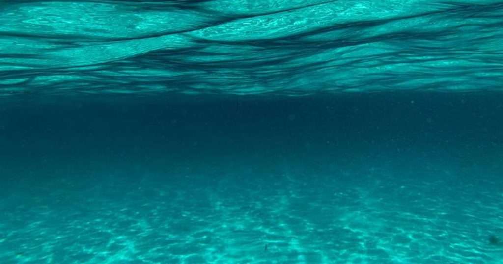 Underwater view beneath the ocean waves. (Credit: Fernando Jorge)