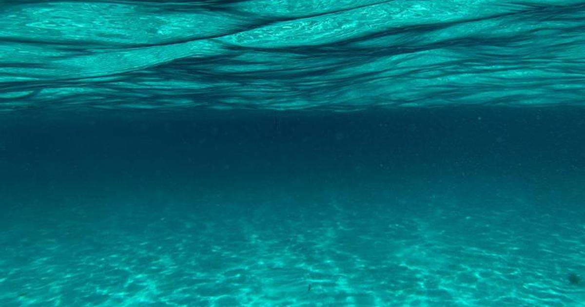 Underwater view beneath the ocean waves. (Credit: Fernando Jorge)