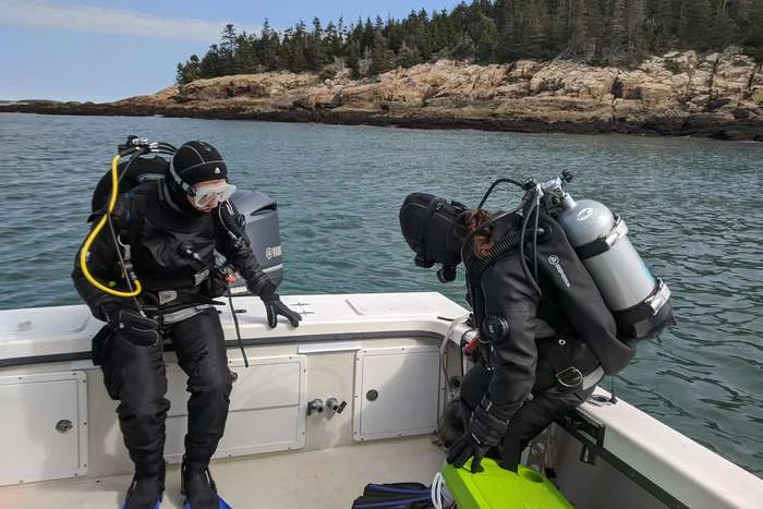 Shane Farrell (left) and Dara Yiu (right), former University of Maine Ph.D. students in Doug Rasher's lab, prepare for a dive survey to collect samples. (Image credit: Rene Francolini)