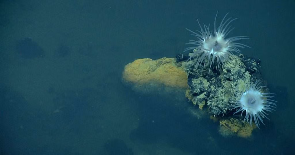 (Image credit: NOAA AOML)