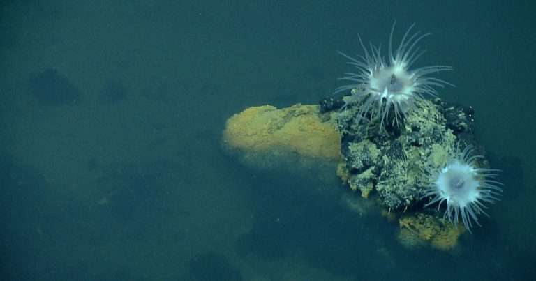 (Image credit: NOAA AOML)