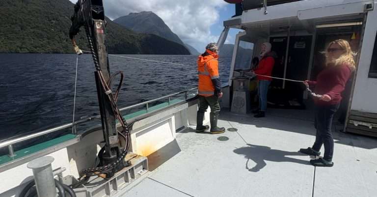 Eva Ramey, Chris Pascoe, and other members of the Department of Conservation lower an RBR concerto3 C.T.D.ODO to the bottom of Patea/Doubtful Sound’s deep basin near Malaspina Reach. (Image credit: John Carter)
