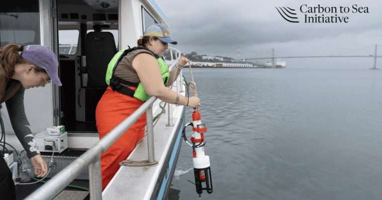 (Image credit: Carbon to Sea)