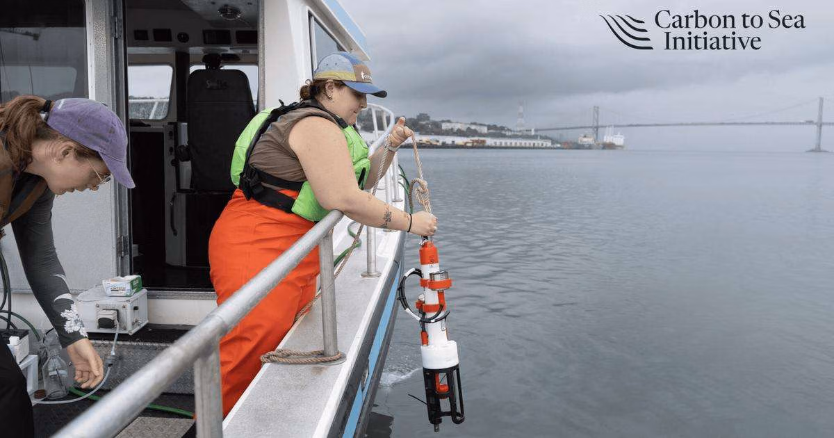 (Image credit: Carbon to Sea)
