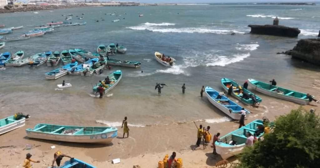 Fish landing beach in Mogadishu. (Credit: MacAlister Elliott & Partners)