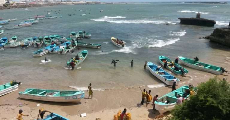 Fish landing beach in Mogadishu. (Credit: MacAlister Elliott & Partners)