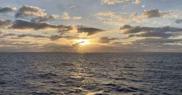 (Image credit: Katie Roche, Woods Hole Oceanographic Institution)