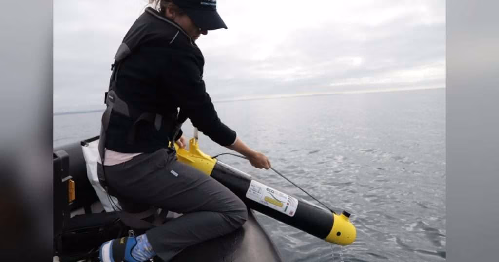 PML’s Dr. Juliane Wihsgott lowering an ecoSUB into the water. (Image credit: PML)