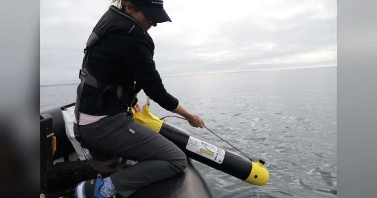 PML’s Dr. Juliane Wihsgott lowering an ecoSUB into the water. (Image credit: PML)