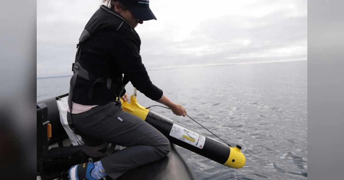 PML’s Dr. Juliane Wihsgott lowering an ecoSUB into the water. (Image credit: PML)