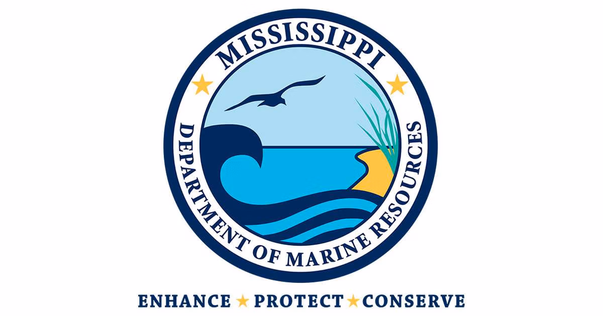 DMR Logo