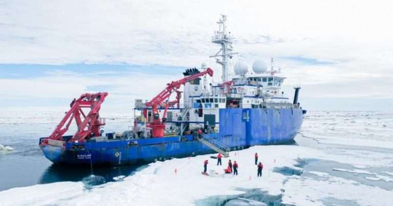 In 2023, researchers visited the Arctic’s Chukchi Sea aboard the R/V Sikuliaq to study how local currents and sea ice affect the seasonal growth of plant-like organisms essential to ocean carbon storage and food webs. (Image credit: Lexi Arlen, Xavier Proctor)