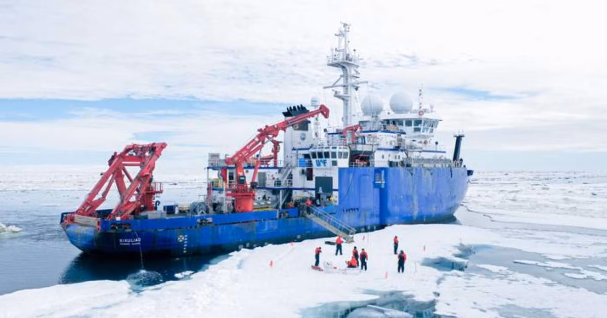 In 2023, researchers visited the Arctic’s Chukchi Sea aboard the R/V Sikuliaq to study how local currents and sea ice affect the seasonal growth of plant-like organisms essential to ocean carbon storage and food webs. (Image credit: Lexi Arlen, Xavier Proctor)