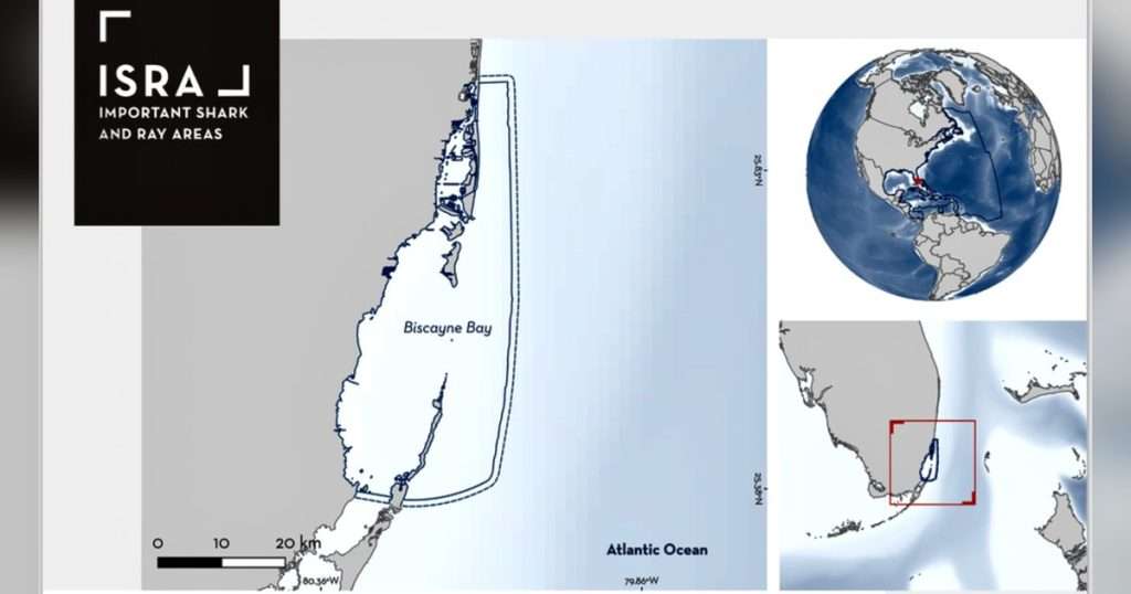 Biscayne Bay is located off Miami, Florida. It comprises nearshore coastal waters as well as a large, shallow bay. The habitat is characterised by seagrass, macroalgae, mangroves, soft sandy and muddy substrate, as well by coral reefs and hard substrates. (Image credit: IRSA)