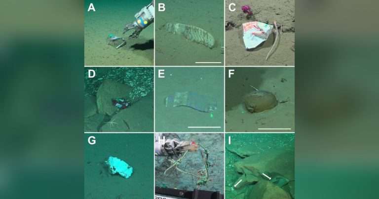 xamples of deep-sea litter found in the Mar del Plata Submarine Canyon. (A) Medium-sized plastic wrapper, 2,109 m. (B) Rubber boot, 2,598 m. (C) Food wrapper, 1,920 m. (D) Snack wrapper, 3,231 m. (E) Tissue paper wrapper, 3,814 m. (F) Sediment-filled plastic bag, 3,739 m. (G) Highly degraded plastic fragment, 3,709 m. (H) Nylon cord with a hook, 1,949 m. (I) White plastic cup and bag (arrows), 3,243 m. Scale bars: 10 cm. (Image credits: Schmidt Ocean Institute/ROV SuBastian, expedition FKt250712; Teso et al., 2026, PLOS One, CC-BY 4.0)