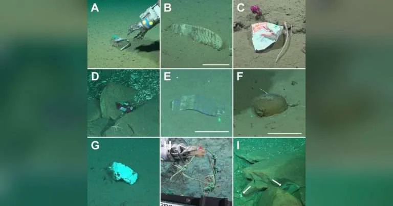 xamples of deep-sea litter found in the Mar del Plata Submarine Canyon. (A) Medium-sized plastic wrapper, 2,109 m. (B) Rubber boot, 2,598 m. (C) Food wrapper, 1,920 m. (D) Snack wrapper, 3,231 m. (E) Tissue paper wrapper, 3,814 m. (F) Sediment-filled plastic bag, 3,739 m. (G) Highly degraded plastic fragment, 3,709 m. (H) Nylon cord with a hook, 1,949 m. (I) White plastic cup and bag (arrows), 3,243 m. Scale bars: 10 cm. (Image credits: Schmidt Ocean Institute/ROV SuBastian, expedition FKt250712; Teso et al., 2026, PLOS One, CC-BY 4.0)