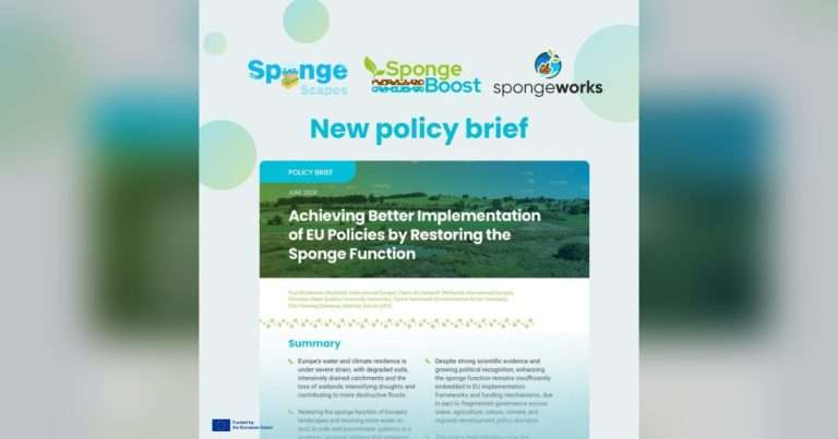 Policy brief "Achieving Better Implementation of EU Policies by Restoring the Sponge Function". (Image credit: SpongeBoost Project)