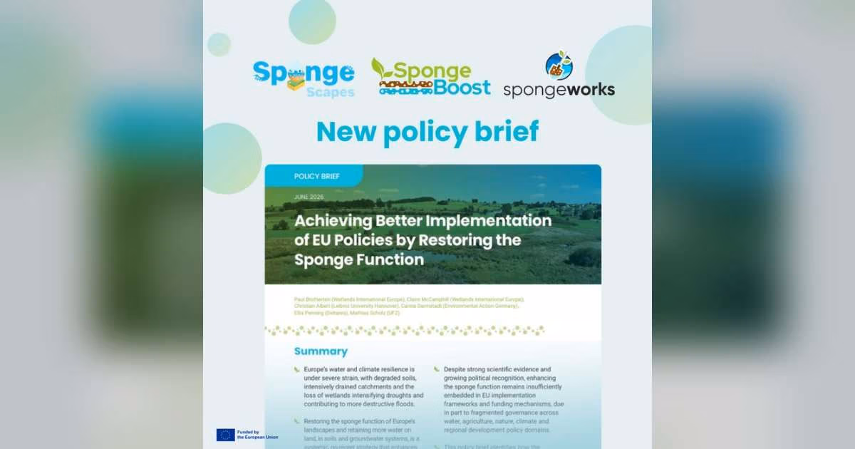 Policy brief "Achieving Better Implementation of EU Policies by Restoring the Sponge Function". (Image credit: SpongeBoost Project)