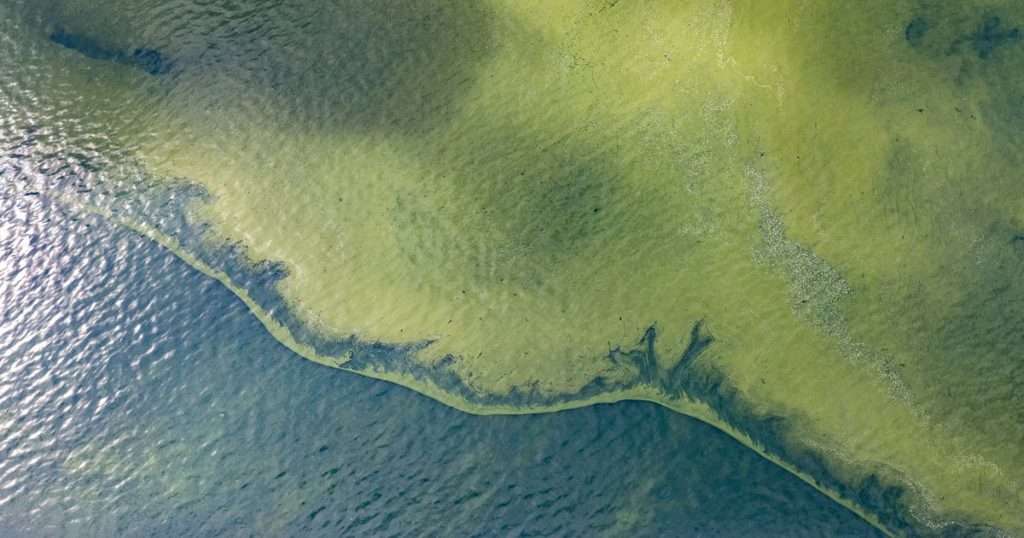 Aerial image of a cyanoHAB bloom in Lake Erie. (Image credit: Zachary Haslick, NOAA GLERL/Aerial Associates Photography, Inc.)