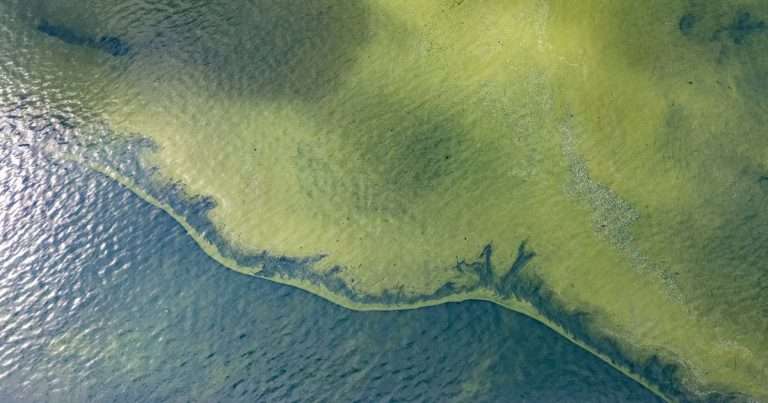 Aerial image of a cyanoHAB bloom in Lake Erie. (Image credit: Zachary Haslick, NOAA GLERL/Aerial Associates Photography, Inc.)