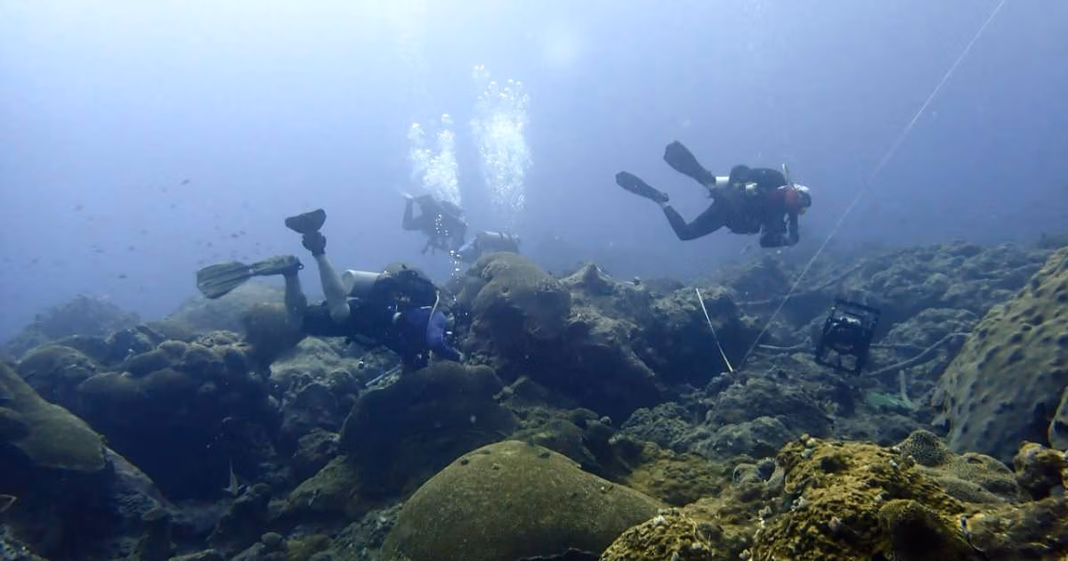 A dive team surveys the benthic cover. (Image credit: Karl Teague, National Park Service)