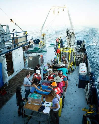 CMBC students take part in a deep-sea biology field course led by Scripps biological oceanographer Lisa Levin and former graduate student Natalya Gallo in late 2015. They are pictured here aboard R/V Robert Gordon Sproul. (Credit: Cody Gallo)
