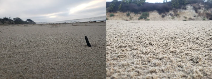 Left: Smooth, un-burrowed sand. Right: Mounds of sand kicked up by sand hoppers after a night of digging. (Image credit: Sean Cummings, AGU)