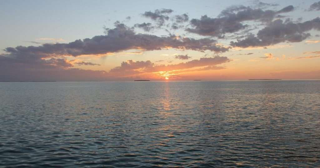 (Credit: Atlantic Oceanographic and Meteorological Laboratory)