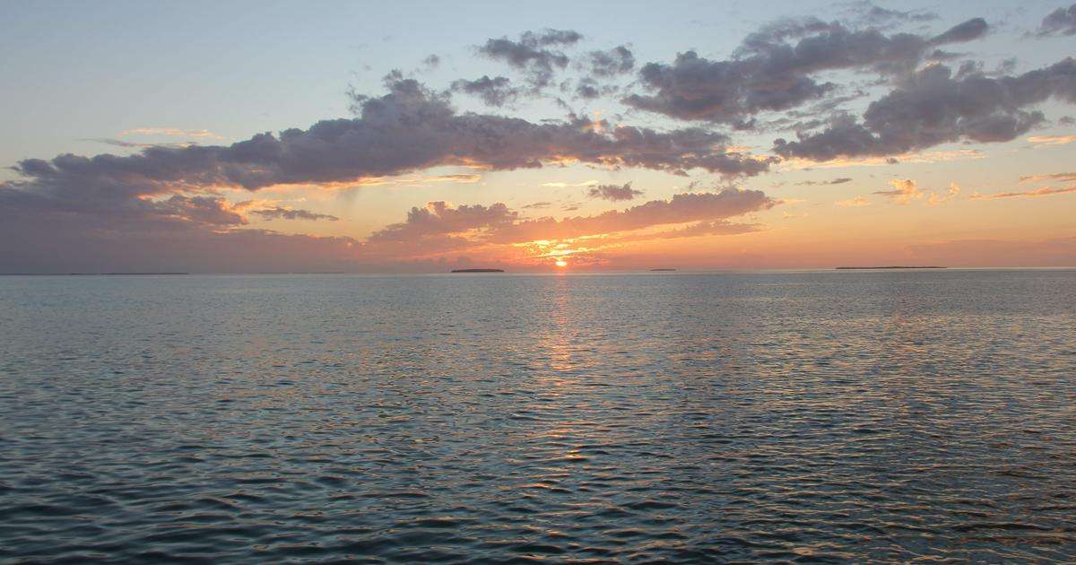 (Credit: Atlantic Oceanographic and Meteorological Laboratory)