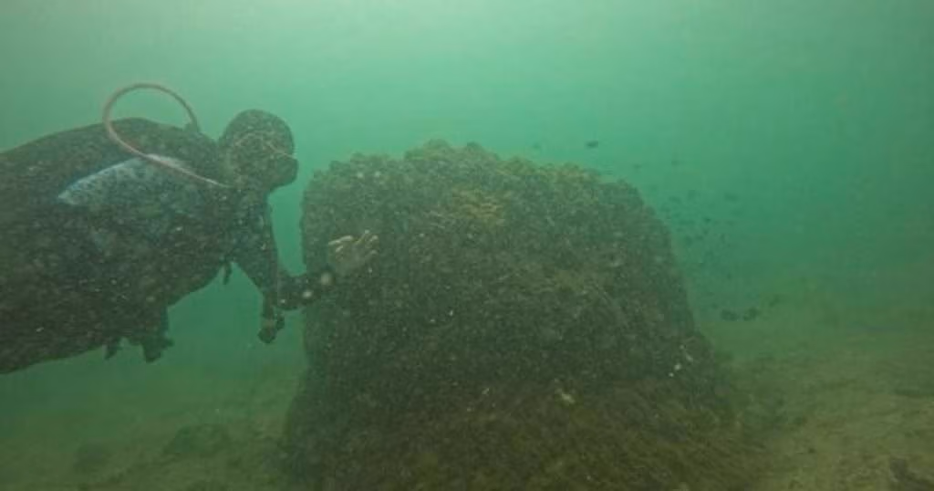 Researchers led by Prof. Jompa from Hasanuddin University assessed coral reefs’ health across three islands in Indonesia’s Spermonde Archipelago, combining ecological monitoring with community perspectives. The study found clear differences in reef conditions and highlighted opportunities for stronger community involvement in conservation through targeted training, tools, and support. (Image credit: Professor Jamaluddin Jompa from Hasanuddin University, Indonesia)
