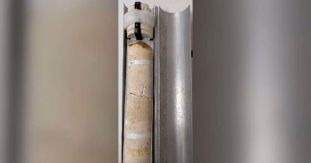 Image of a coral core. (Credit: USGS)