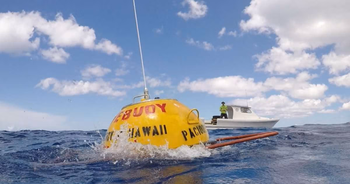 Wave buoys are essential instruments in ocean observing and there are over 600 assets, including buoys like this, reporting wave data throughout IOOS. Wave information is important for weather forecasting, safe navigation, port operations, coastal planning, coastal hazard prediction and mitigation, and many more applications. (Image credit: PacIOOS.