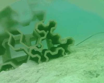 An autonomous camera documented the activities of larval fish schools at an artificial reef structure during the acoustic experiments. (Image credit: Océane Boulais)