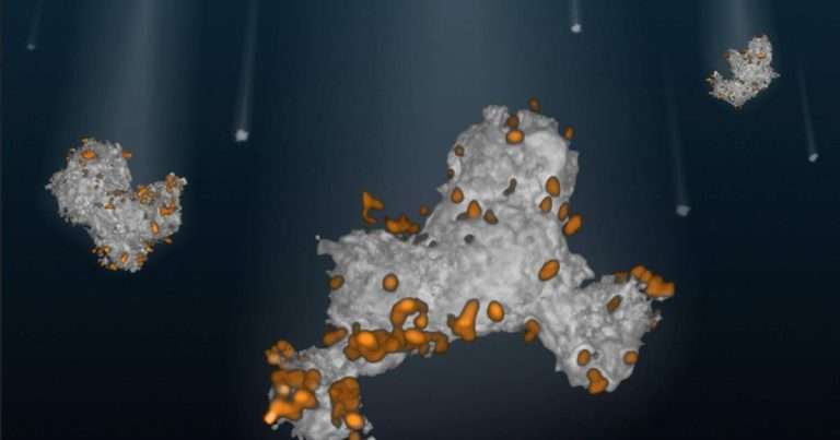 Viscous marine snow particles (white) colonized by bacteria (orange) transport carbon to the deep ocean. (Image credit: Bryce Inman)