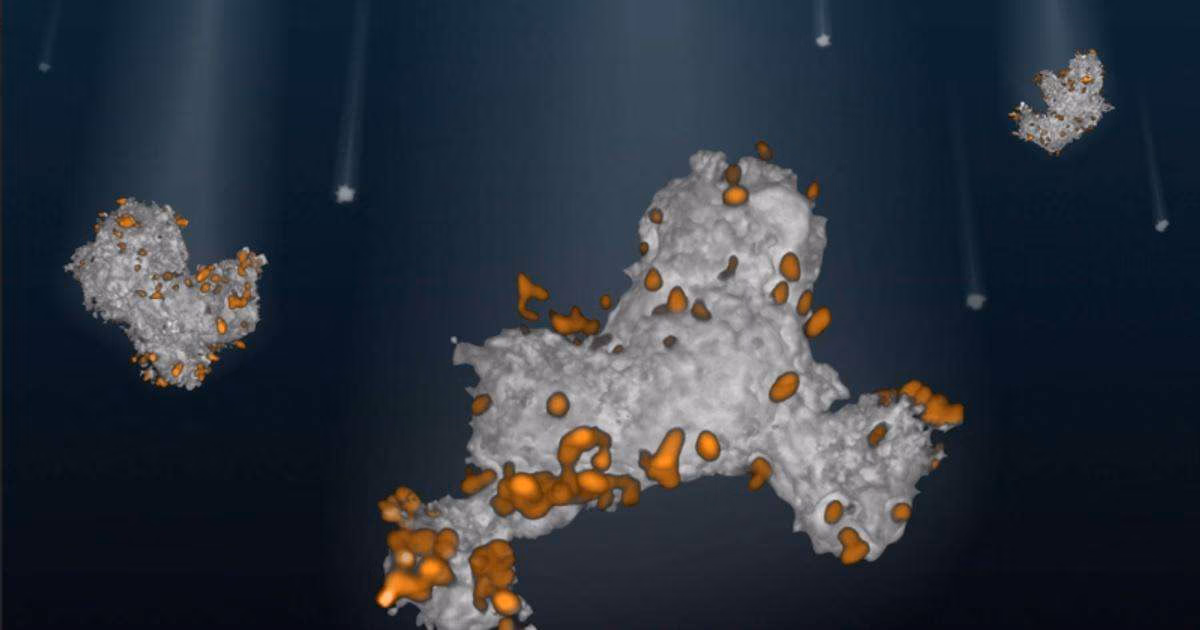 Viscous marine snow particles (white) colonized by bacteria (orange) transport carbon to the deep ocean. (Image credit: Bryce Inman)