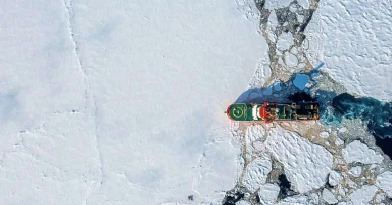 Aerial view of a red and green icebreaker ship breaking through vast white sea ice, with a small polar bear visible on the ice to the left.
