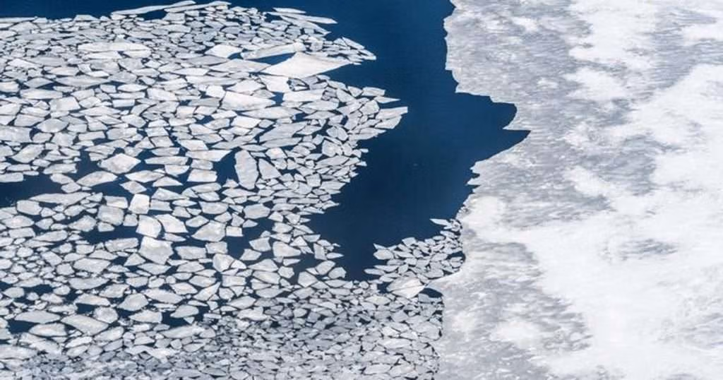 Arctic sea ice from the air. (Image credit: Sarah Das)