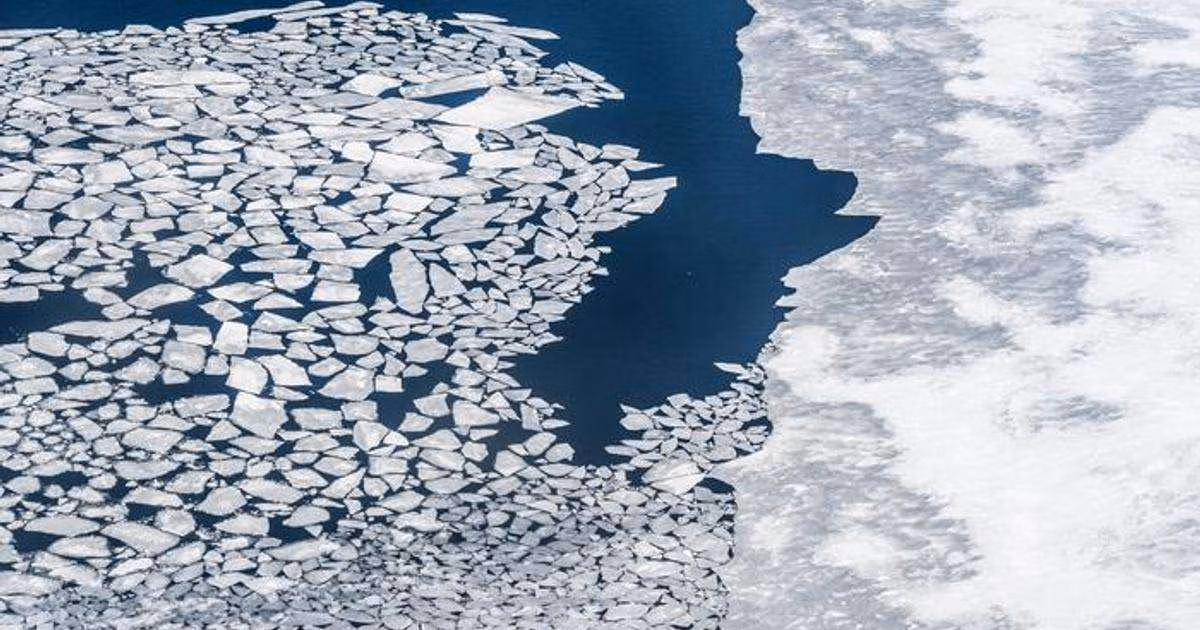 Arctic sea ice from the air. (Image credit: Sarah Das)