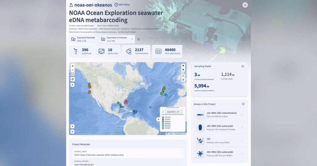 NOAA Ocean Exploration contributed environmental DNA (eDNA) data from water samples collected during remotely operated vehicle and CTD (conductivity, temperature, and depth) rosette system operations on six expeditions on NOAA Ship Okeanos Explorer between 2021 and 2023 (with more to come). Collectively, these data and their metadata make up the NOAA Ocean Exploration seawater eDNA metabarcoding project. While already available in global databases, the Ocean DNA Explorer makes them easier to analyze and visualize. (Image credit: Northern Gulf Institute/NOAA’s Atlantic Oceanographic and Meteorological Laboratory)