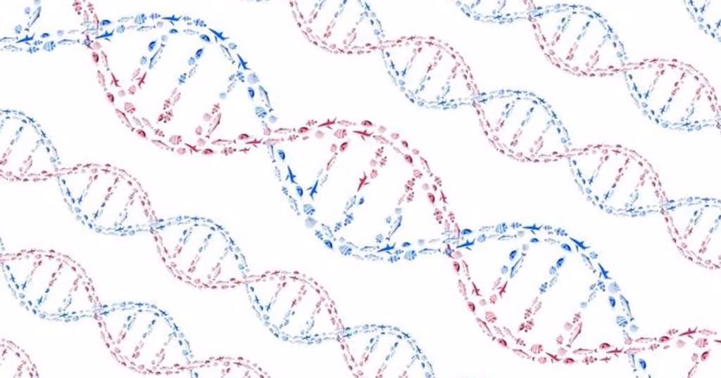 An illustration of DNA’s double helix structure formed by schools of swimming fish. (Credit: Jack Featherstone)