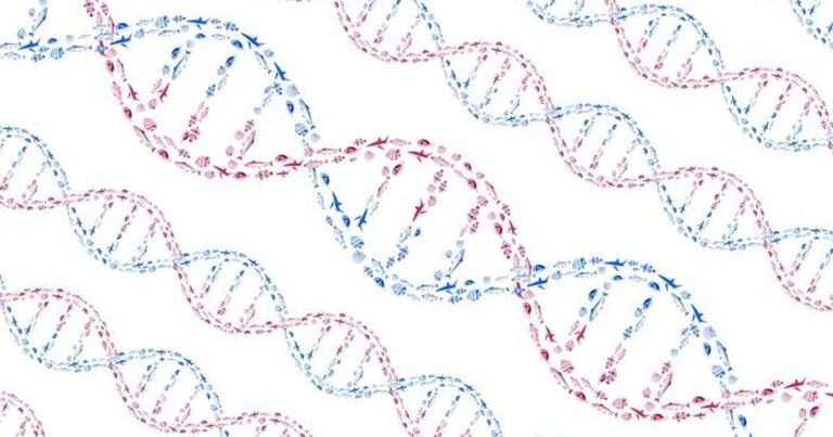 An illustration of DNA’s double helix structure formed by schools of swimming fish. (Credit: Jack Featherstone)