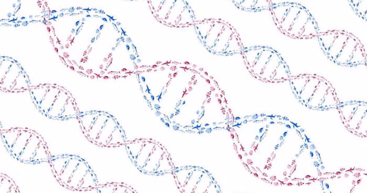 An illustration of DNA’s double helix structure formed by schools of swimming fish. (Credit: Jack Featherstone)