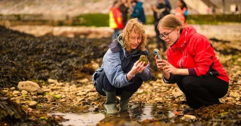 (Credit: DASSH/Natural England)