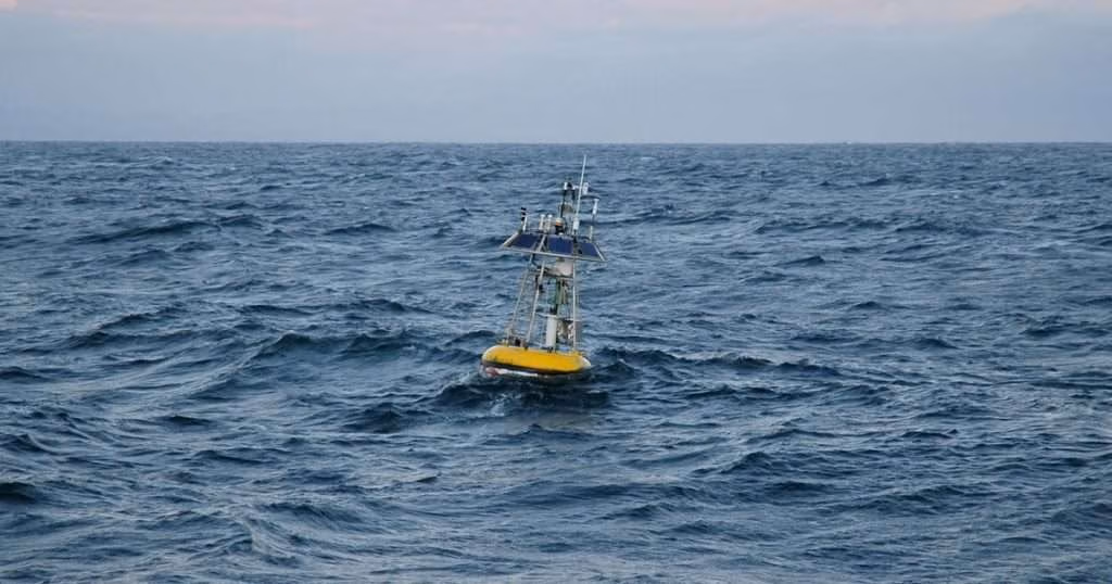 MBARI technology continuously monitors conditions in Monterey Bay and across Central California waters. The M1 mooring anchored over the mouth of Monterey Canyon has recorded an anomalous influx of warm water, an indication of the arrival of El Niño. (Image credit: Todd Walsh, MBARI)